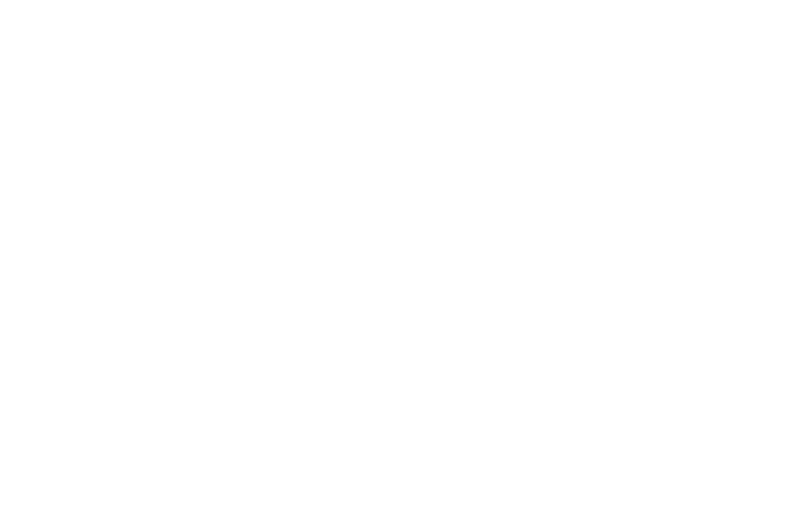 Academia de Música Vivace